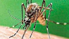 Illustration Macron : il a le « chic » pour nous mener en bateau