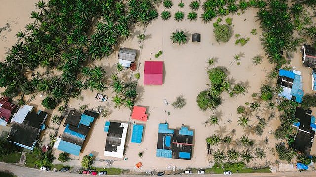 Illustration - drames climato-capitalistes