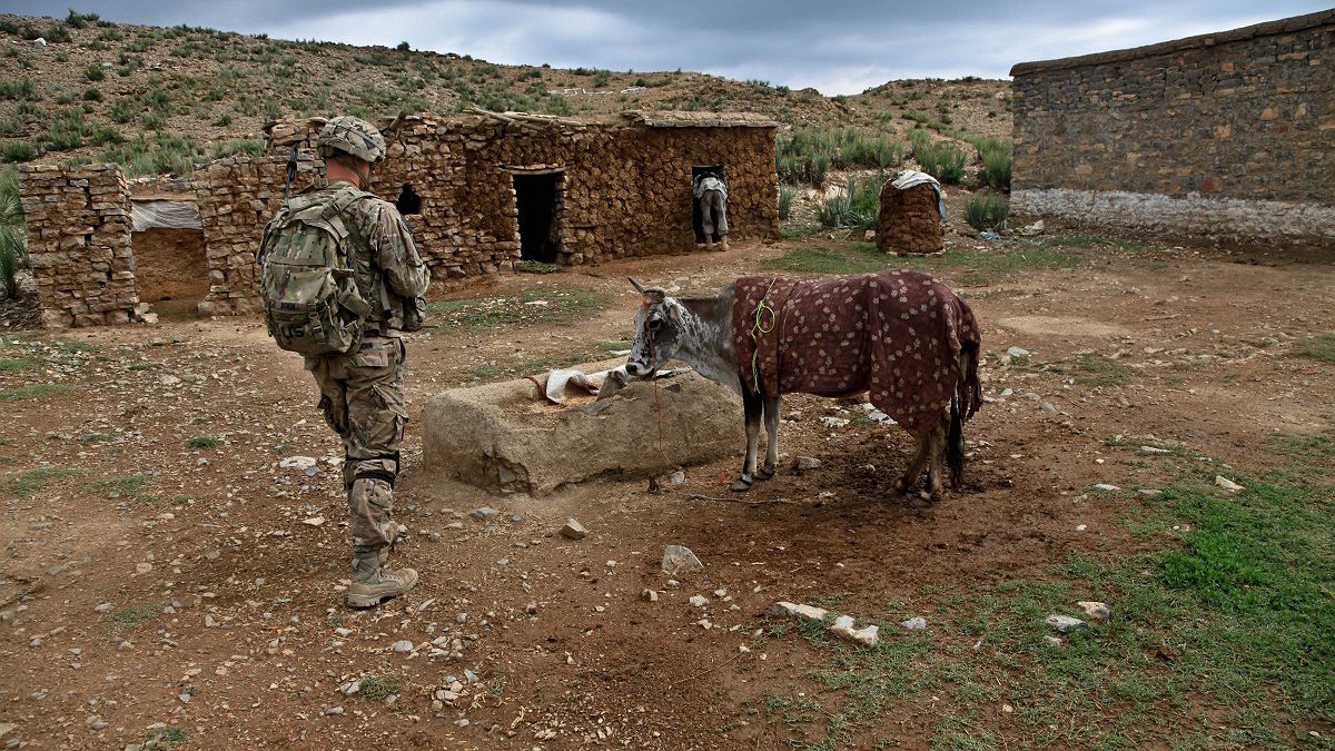 Illustration - En quête de chair fraîche