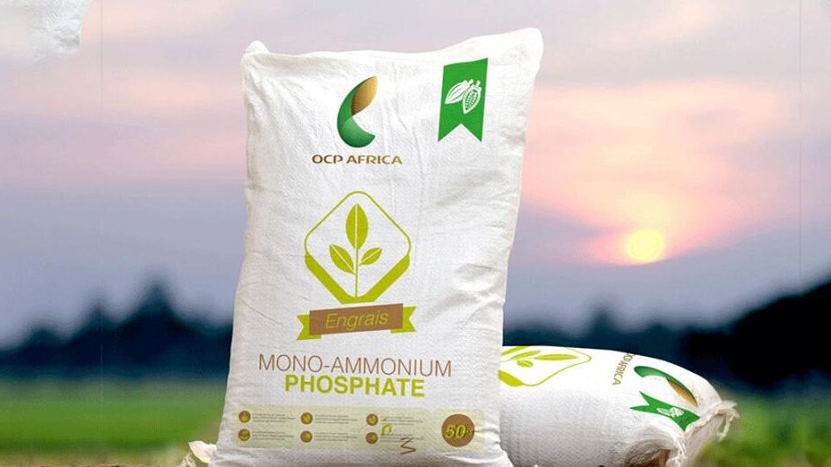 Illustration - Les bombes ne sont pas les seules à tuer