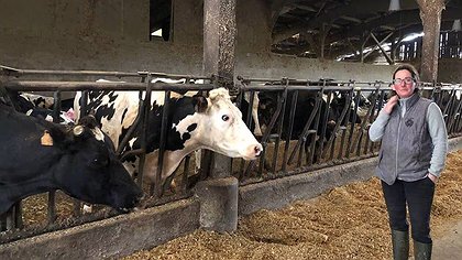Illustration Savencia prêt à mettre 330 éleveurs sur la paille