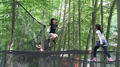 Illustration article