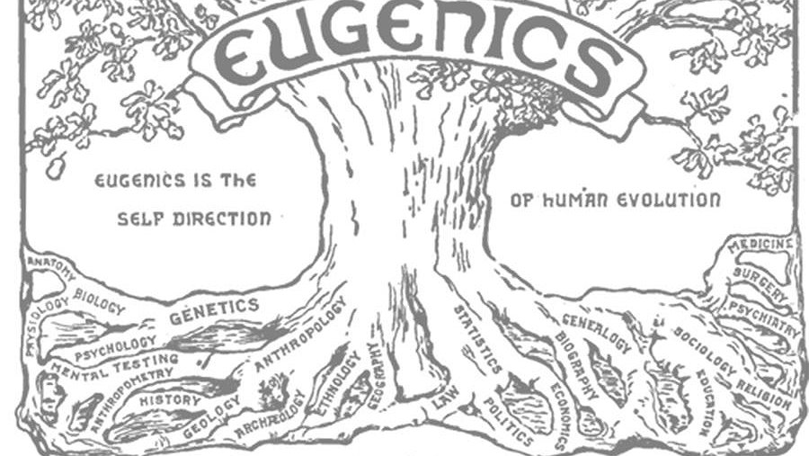 Illustration - la révolte des autochtones contre les stérilisations forcées