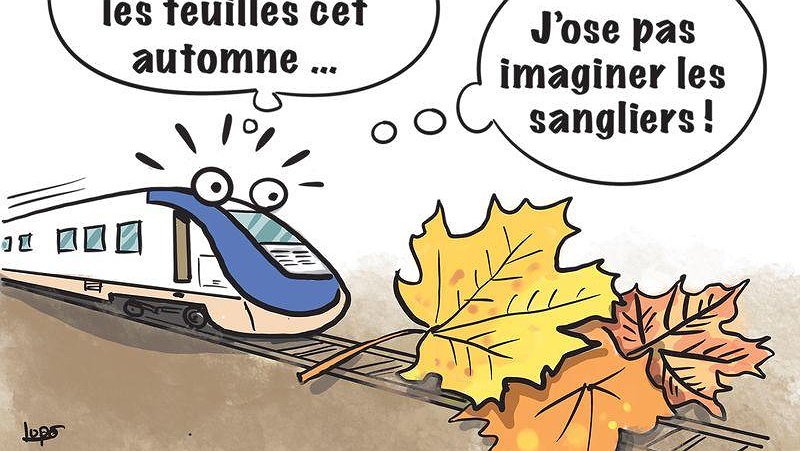 Illustration - usagers et cheminots font les frais du manque de moyens