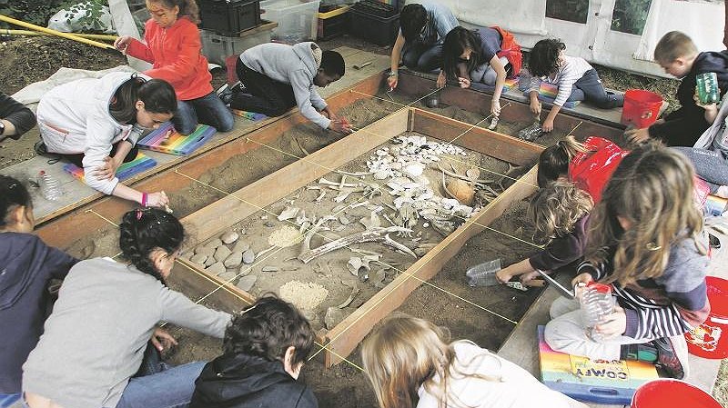 Illustration - Le Préhisto-parc