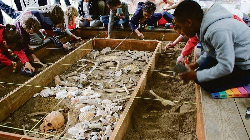 Illustration - Préhisto-parc