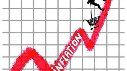 Illustration article