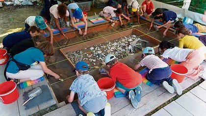 Illustration article