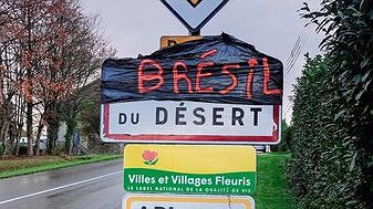 Illustration article