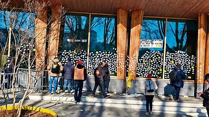 Illustration article