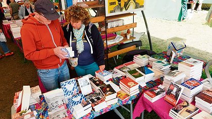 Illustration article