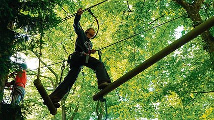 Illustration article