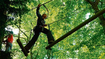 Illustration article