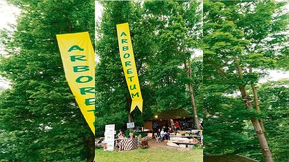 Illustration article