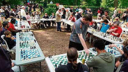 Illustration article