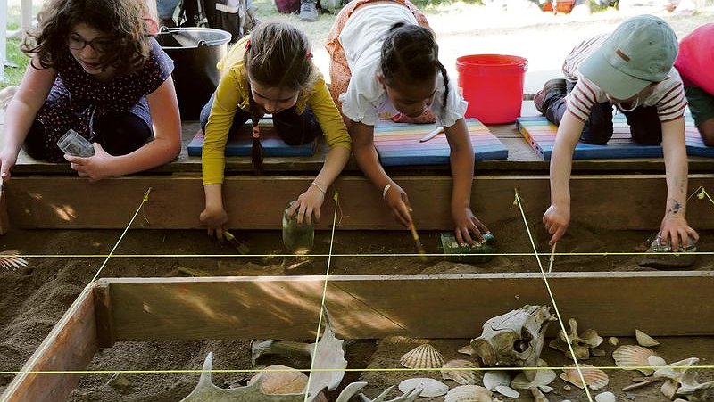 Illustration - Le Préhisto-parc