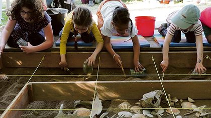 Illustration article