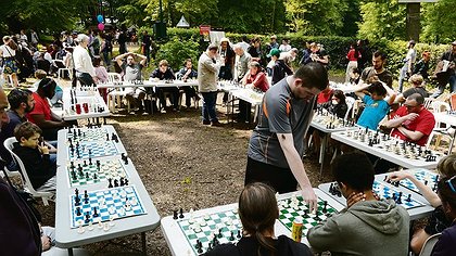 Illustration article