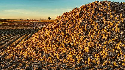 Illustration article