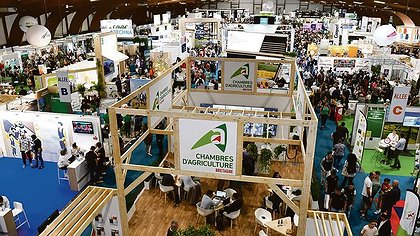 Illustration article