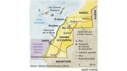 Illustration article