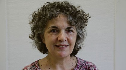 Illustration article