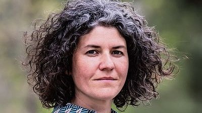 Illustration article