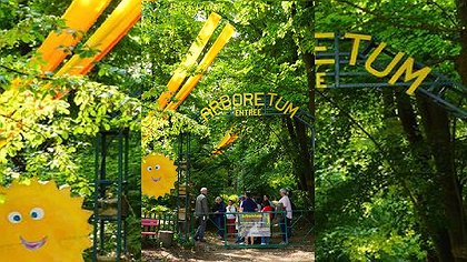 Illustration article