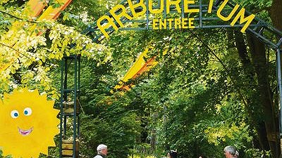 Illustration article